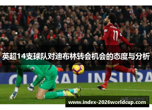 英超14支球队对迪布林转会机会的态度与分析