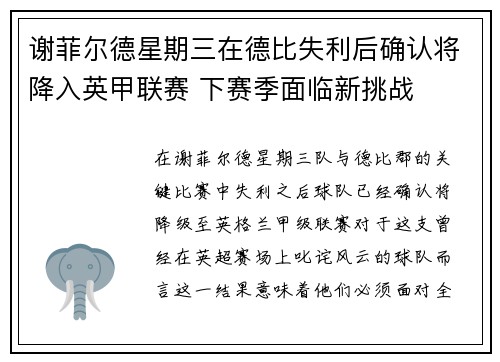 谢菲尔德星期三在德比失利后确认将降入英甲联赛 下赛季面临新挑战